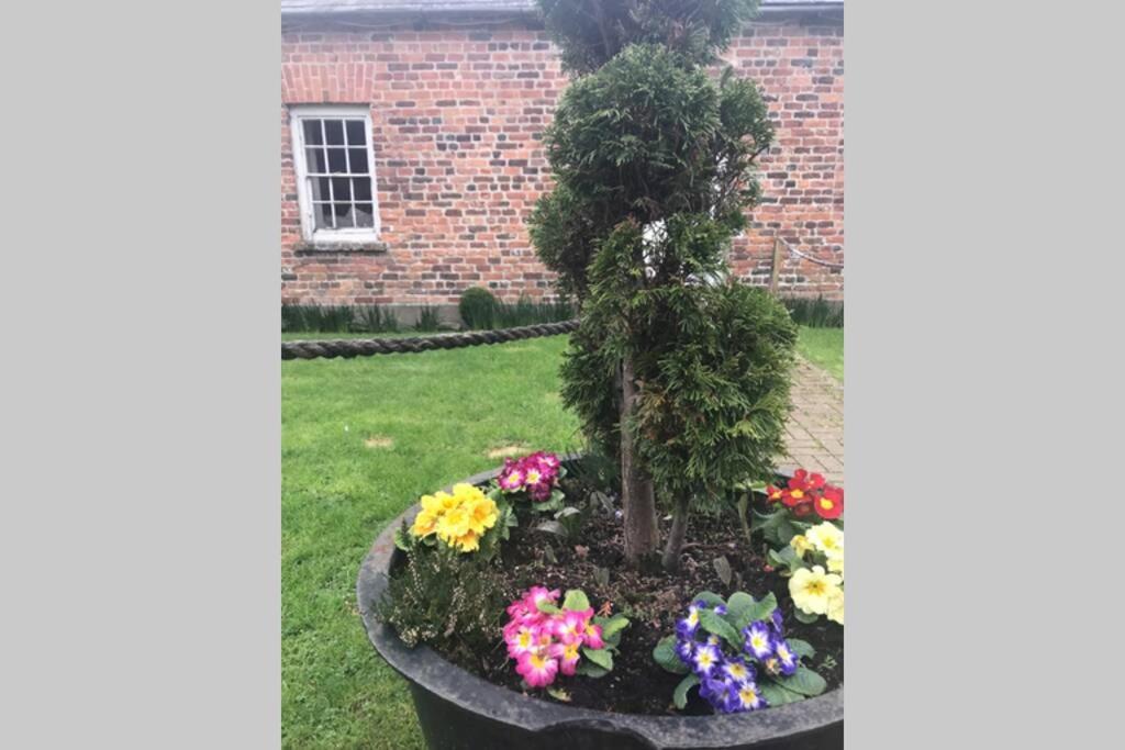 The Tack Room Cottage - Wells House & Gardens Уексфорд Екстериор снимка